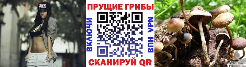 Галлюциногенные грибы мицелий  Закаменск 
